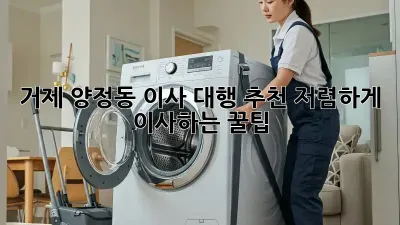 거제 양정동 이사 대행 추천: 저렴하게 이사하는 꿀팁!