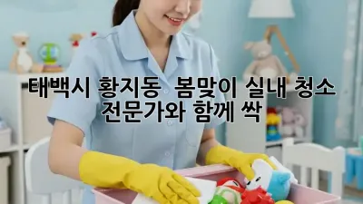 태백시 황지동 ✨ 봄맞이 실내 청소, 전문가와 함께 싹! 🧹