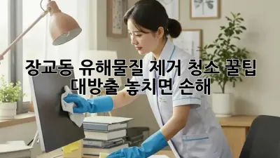 장교동🏡 유해물질 제거 청소🧹: 꿀팁 대방출! 놓치면 손해!