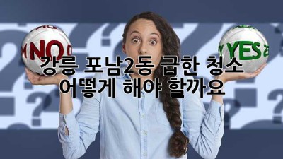 강릉 포남2동 급한 청소, 어떻게 해야 할까요?